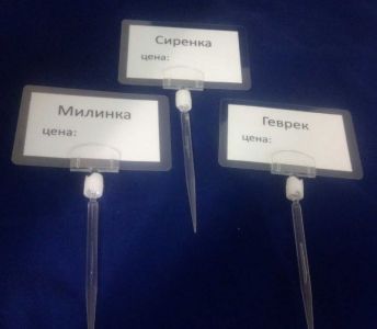 Етикетите за цени. Видове етикети за ценова информация